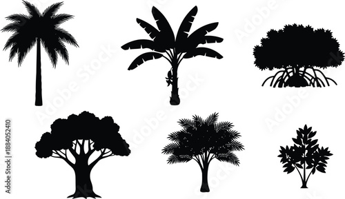 Tropical tree silhouettes collection Vector