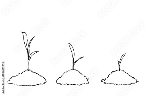 Three stages of plant growth on separate mounds of soil. From right to left, the plant progresses from a small sprout to a taller seedling. Minimalist line drawing.
