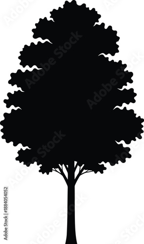 Simple tree silhouette illustration Vector