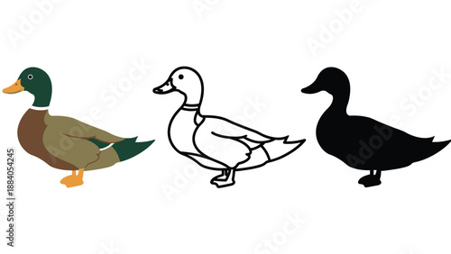 Three ducks in different styles on a white background