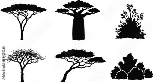 African baobab tree silhouettes collection Vector