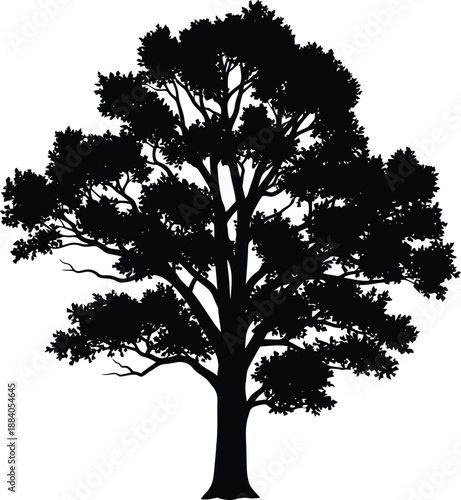 Black silhouette oak tree illustration Vector