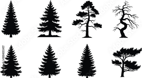 Set of pine tree silhouettes Vector