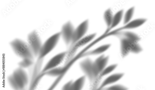 Canvastavla Delicate shadow overlay texture of small leafy branch projecting diagonally onto