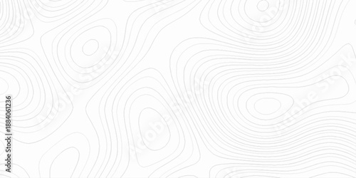 Abstract grayscale topographic rendering with organic, topographic map geographic mountain relief contour lines, topo map pattern simple lines, 