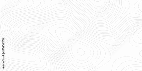 Abstract grayscale topographic rendering with organic, topographic map geographic mountain relief contour lines, topo map pattern simple lines, 