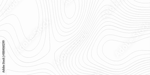 Abstract lines background. contour maps, 3d rendering illustration black and white steel pattern, technology topo landscape grid map discovery area, topographical background linear graphics vector.