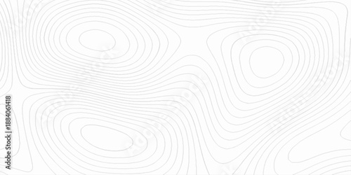 Abstract lines background. contour maps, 3d rendering illustration black and white steel pattern, technology topo landscape grid map discovery area, topographical background linear graphics vector.