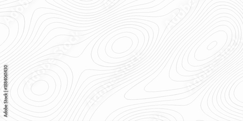 Abstract lines background. contour maps, 3d rendering illustration black and white steel pattern, technology topo landscape grid map discovery area, topographical background linear graphics vector.