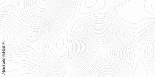 Abstract lines background. contour maps, 3d rendering illustration black and white steel pattern, technology topo landscape grid map discovery area, topographical background linear graphics vector.