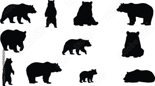 Collection of bear silhouettes in multiple poses, including walking, standing, sitting, and resting, wildlife vector graphics for nature designs, forest themes, and outdoor illustration projects.