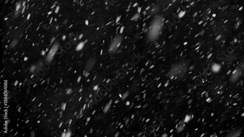 White snow isolated on black background, natural and real, winter nature, using for overlay effect
