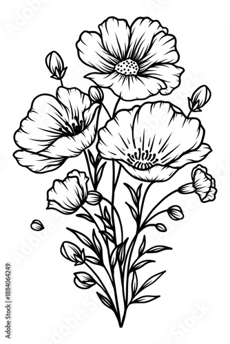 Poppies line art vector illustration set isolated on white. Flower black ink sketch. Modern minimalist hand drawn design. 