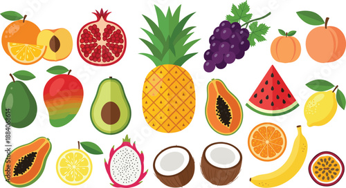Diverse Tropical and Garden Fruit Vector Collection Featuring Pineapple Grapes Pomegranate Mango Avocado Papaya Coconut and Dragon Fruit Illustrations for Healthy Food Branding and Menus