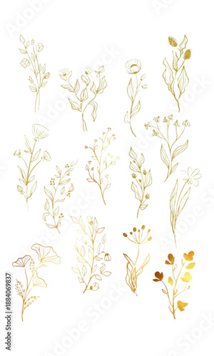 floral design elements