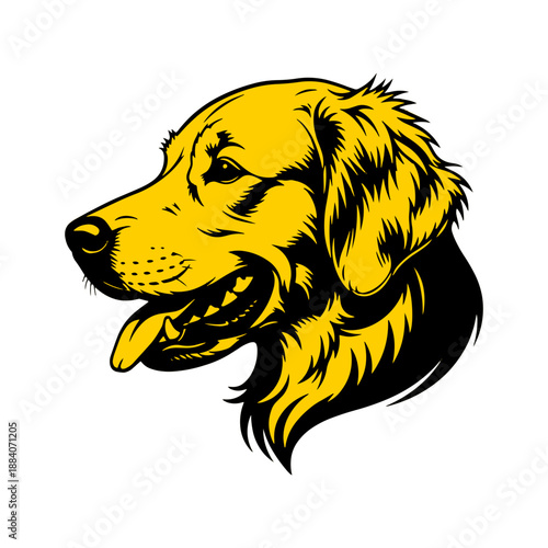 A cute purebred golden retriever dog sits isolated on white in this adorable studio portrait of a happy domestic pet canine