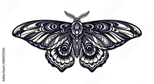 Intricate hand drawn illustration of a large moth with ornate wing patterns in shades of black gray and cream on a white background.