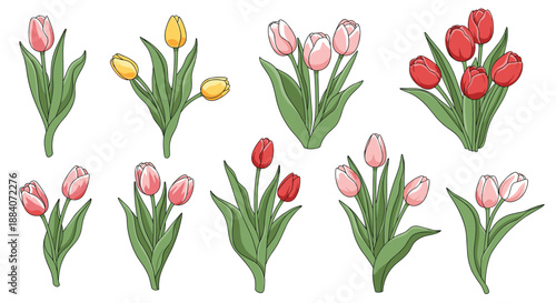 Collection of tulip bouquets in shades of pink, red, and yellow with green leaves is shown against a plain white background.