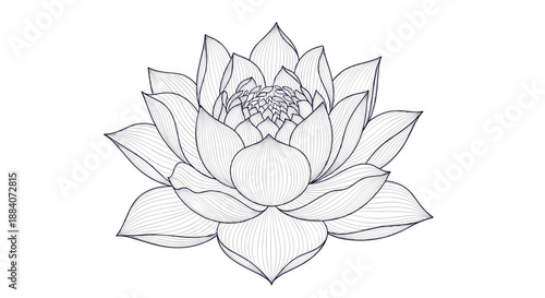 Highly detailed black and white line art illustration of a single blooming lotus flower showcasing intricate petal patterns.