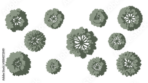 Top View Tree Collection Isolated White Background - Green Leafy Canopy Shapes