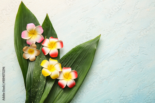 Beautiful plumeria flowers ...