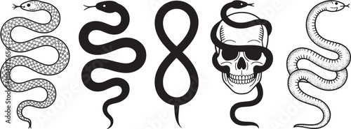 Snake and human skull illustration set featuring serpent variety and gothic tattoo designs