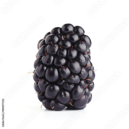 Fresh ripe blackberry isola...