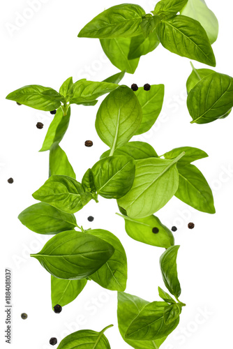 Basil leaves with peppercor...