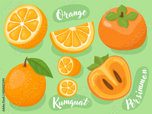 Collection of cute fruit illustrations, orange, kumquat, persimmon. Juicy sweet fruits. Whole fruits and halves of fruit with seeds. Illustrations for packaging, menu, natural food store.
