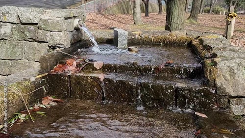 群馬県青木湖　みかげ原展望地の湧水