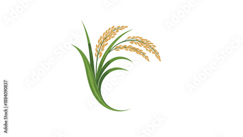 Illustration of a healthy rice plant with long green leaves and heavy stalks of golden ripe grains ready for harvest.