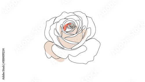 Elegant continuous line drawing of a blooming rose flower with soft peach and pink color shading accents for romantic floral decorations.