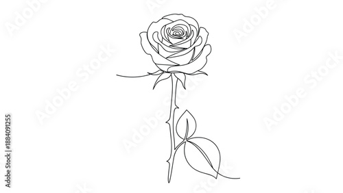 Simple continuous line drawing of a single rose flower with stem and leaves on a clean white background for botanical art decoration.