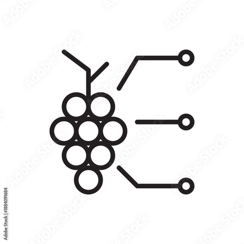 Vineyard management icon. Precision viticulture and grape production, representing automated vine monitoring, vineyard data analytics, seasonal canopy management, and high-quality harvest optimization