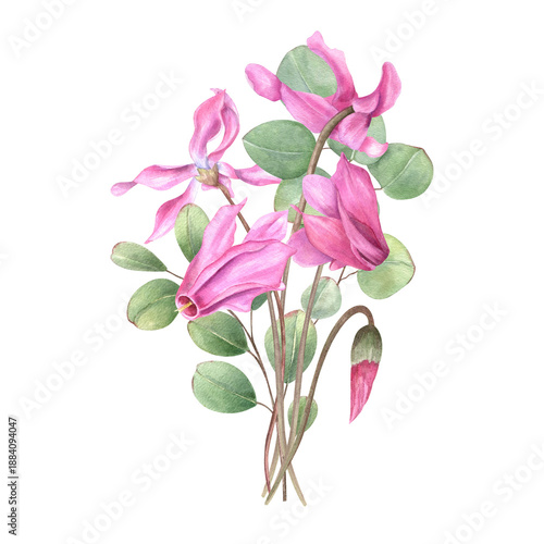 Canvas Print Watercolor pink cyclamen and eucalyptus branch bouquet illustration on isolated background
