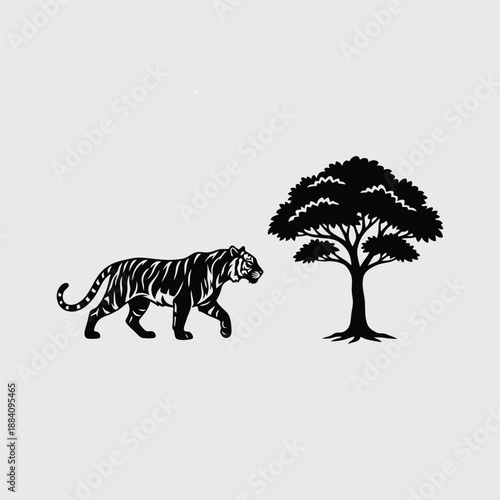 zebra in the forest