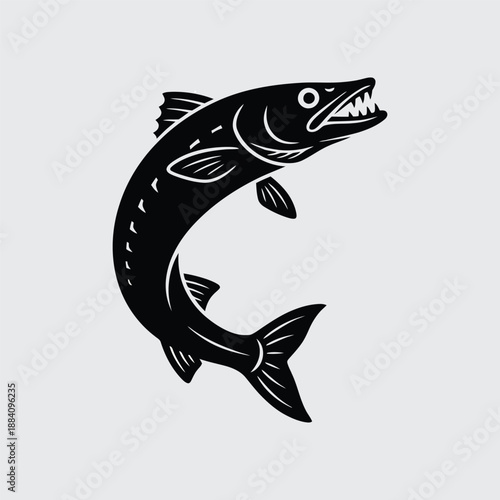 fish vector illustration