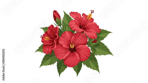 Hibiscus Flowers.