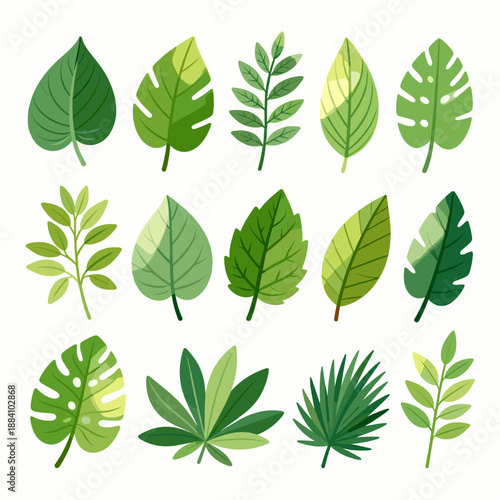 [Vector EPS]Collection of various green tropical plant leaves for nature and design