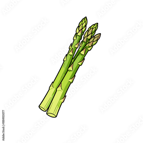 [Vector EPS]Fresh green asparagus vegetables for healthy eating