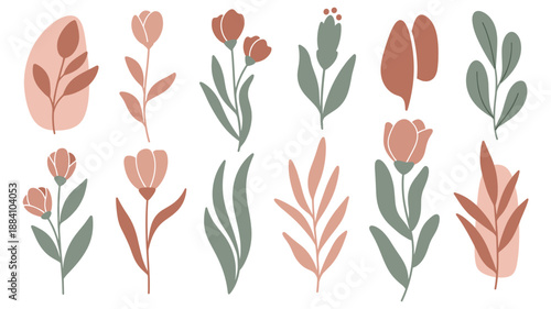 Watercolor Floral Elements Collection Illustration.