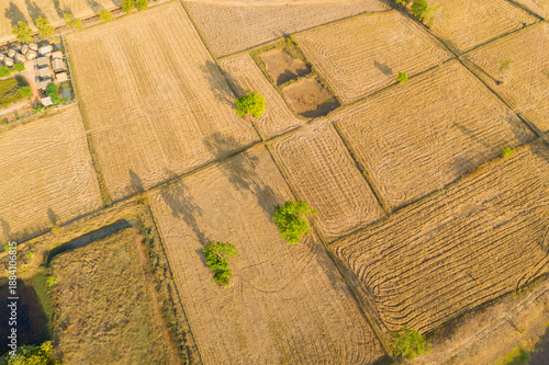 Fotografie Aerial perspective of dry-season agricultural plots forming a geometric patchwork near Phnom Sampov in Battambang province, Cambodia