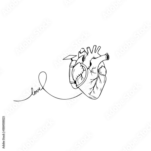 Delicate feather pendant on chain Vector