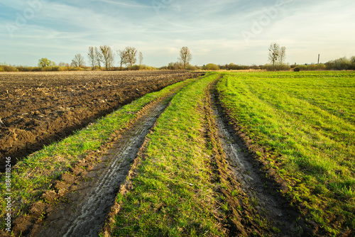 Empty Rural Dirt Path with Tire Tracks in Green Meadow