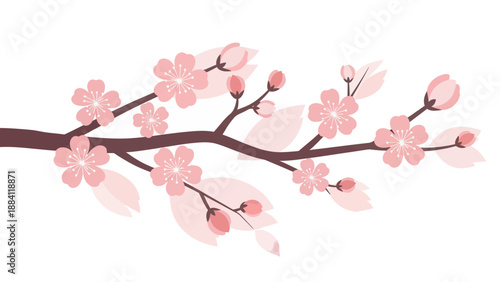 Cherry Blossom Branch with Pink Flowers and Buds on White Background