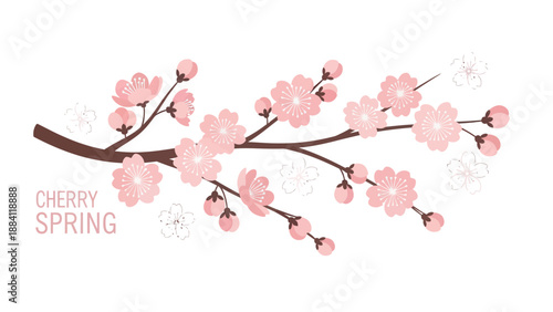 Cherry Blossom Branch with Pink Flowers and Buds, Spring Season Illustration
