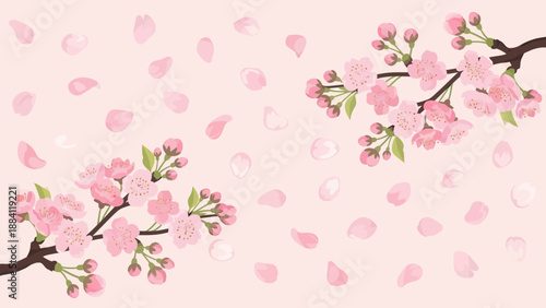 Cherry Blossom Branches with Falling Petals on Pink Background