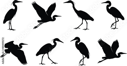 Elegant silhouettes of heron birds in flying and standing poses, captured in detailed black shapes for nature, wildlife, illustration, and design projects.