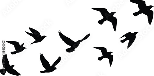 Silhouettes of flying birds in varied wing positions, isolated black avian shapes for wildlife artwork, nature graphics, decals, stickers, digital illustrations, and creative design projects