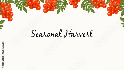 Autumn vector background with red rowan berries and green leaves forming a decorative frame. Cartoon banner with copy space for web banners, advertising, food and nature projects.